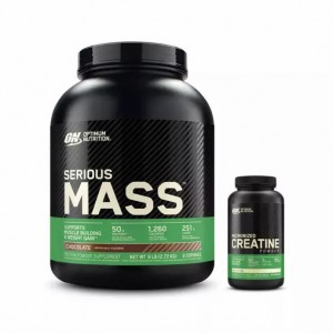 Optimum Nutrition Mass Stack Türkiye | 720948RNI