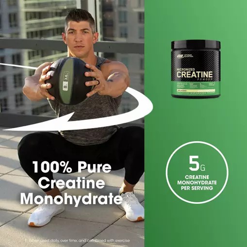 Optimum Nutrition Micronized Creatine Powder Unflavored 0.66 lb (60 Servings) Türkiye | 672830JXL